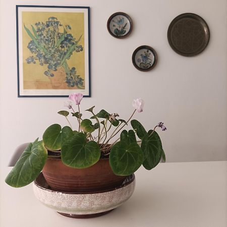 Fossolapietra26 Apartment Кастел ди Сангро Екстериор снимка